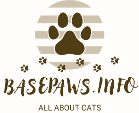 BasePaws.info logo