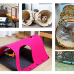 Cat Tunnel Bed for Hiding, Playing, and Napping: 11 Creative Ideas