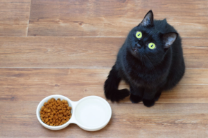 Read more about the article Cracking the Cat Code: How to Create Nutritional, Palatable Cat Foods