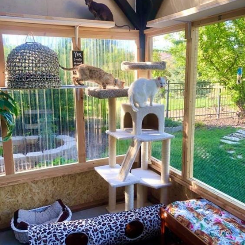 Miniature Adventure Park: A catio that mimics a theme park, filled with engaging toys and activities.