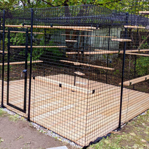 Perfect Summer Evening: Design a catio to maximize comfort on warm summer nights with cooling features.