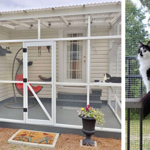 Delightful Deck Catio (Jinx & Jasper’s Sanctuary)