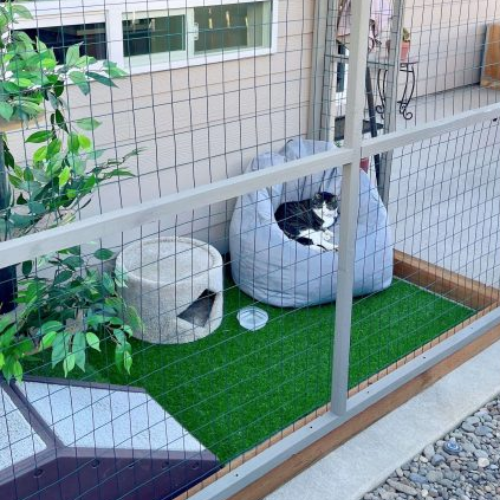 Secret Garden Catio (Ginger’s Secret Garden Haven)