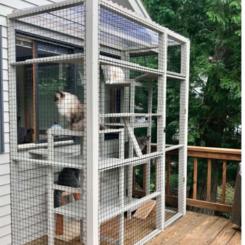 Penthouse Window Box Catio (Atosha & Tuddy’s Apartment View)