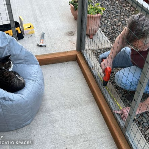 Sanctuary of Love Catio (Tracey’s Natural Sanctuary)