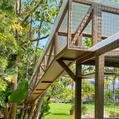 Complex Catio with a Bridge